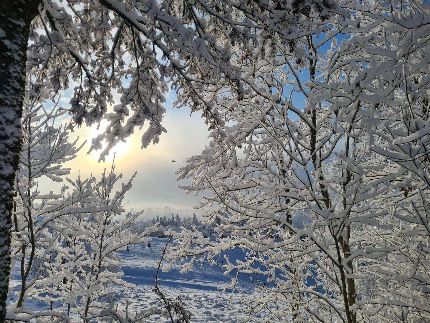 Ferienwohnung Pfeiffer - Header
